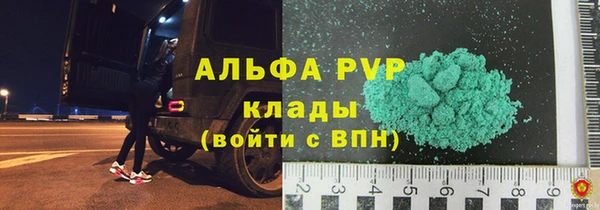 трава Осинники