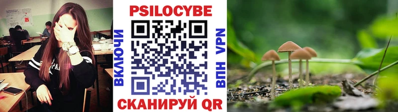 Псилоцибиновые грибы Psilocybine cubensis  blacksprut зеркало  Асбест 