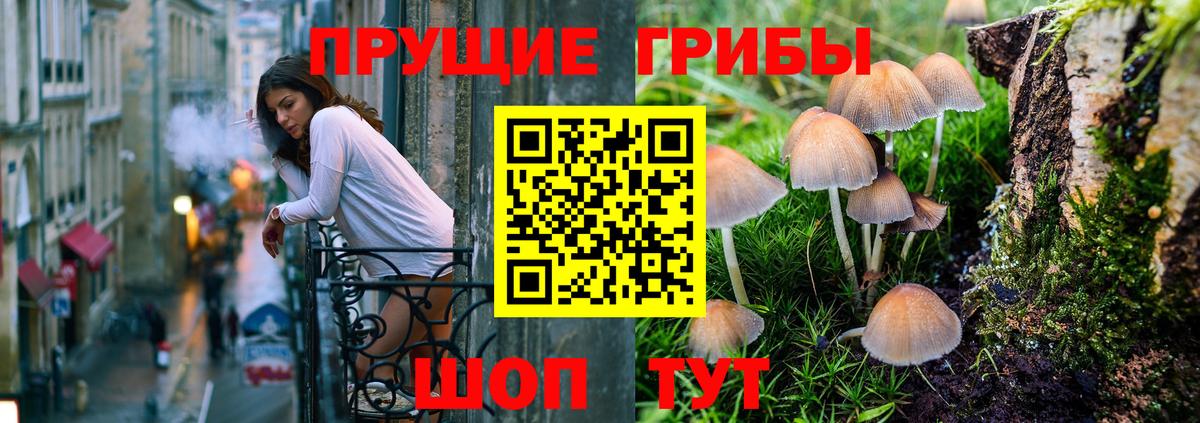 Галлюциногенные грибы прущие грибы Асбест
