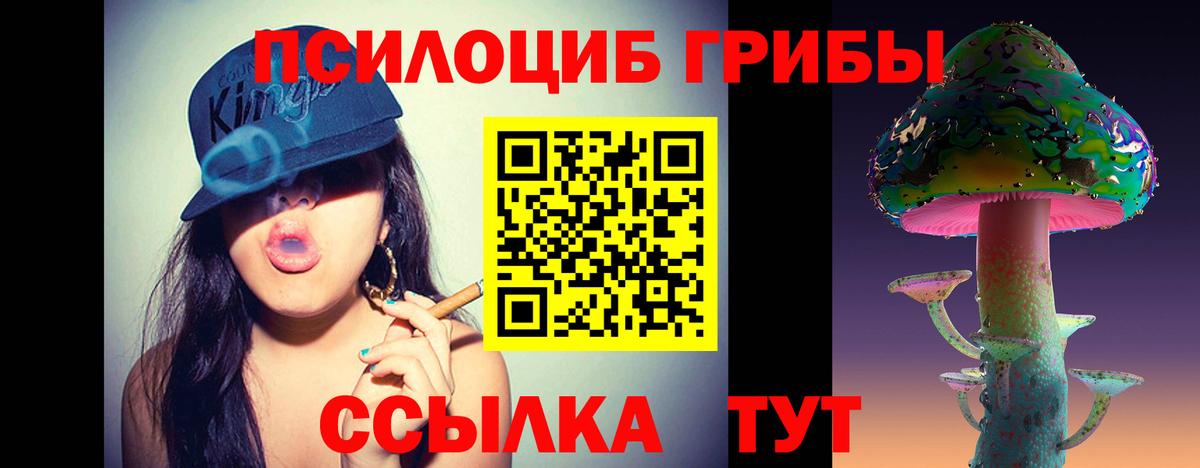 Асбест  Псилоцибиновые грибы Cubensis  Вход с VPN 